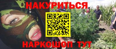 a pvp Новокубанск