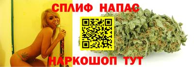 молекула духа Новодвинск